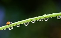 51歲“臺(tái)灣第一美女”蕭薔曬照 穿抹胸...