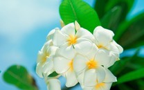 李蘭娟：我們需要有與病毒長(zhǎng)期相處的準(zhǔn)備