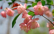 拒絕人情dota，年輕人不抗壓離隊(duì)，你相信xiao8說的話嗎