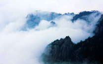 旭旭寶寶宣布停播，數(shù)十萬(wàn)大馬猴流浪斗魚(yú)計(jì)劃正式開(kāi)啟！