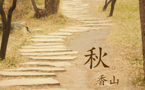 墻面裂縫、掉皮、發霉怎么辦