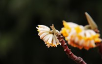 新浪圖片“你好，世界”周選第85期