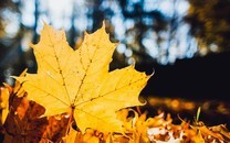 蕭敬騰疑默認與經(jīng)紀人戀情：希望有一天自己主動告訴大家