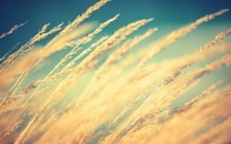 《毀滅戰(zhàn)士：永恒》首周銷量70萬 是Steam今年賣的最好的...