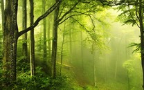 河南商丘一工地挖出3000余枚炸彈 警方：抗日戰(zhàn)爭遺留