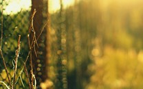 順產(chǎn)開十指宮口究竟開到多大？一張圖解釋清楚，過來(lái)人...