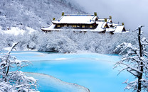 王雪偉：指數縮量回踩周一低點，控制倉位抓結構機會
