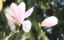 甘肅緊急調整湖北返回人員管控：僅一次核酸檢測者須二度檢測