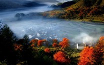 中國(guó)野生鳥(niǎo)類攝影行為規(guī)范倡議