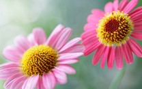 我國(guó)歷史上最短命的七大王朝，其中一朝竟對(duì)外族自稱兒子！