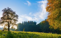 總書記重到兩山論誕生地