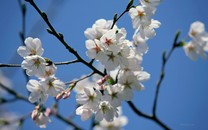 環(huán)保| 盈利之外，還有環(huán)境責(zé)任