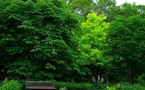 較真丨男子被蝦刺了一下三天后去世，日常吃海鮮謹防創傷弧菌感染