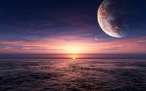 12星座老婆的暗示你懂么
