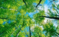 貴州錦屏中學發生疑似食物中毒事件 已啟動倒查機制