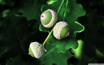 蕭敬騰疑默認(rèn)與經(jīng)紀(jì)人戀情：希望有一天自己主動(dòng)告訴大家