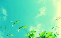 深度資訊 | 監(jiān)管壓力逼近，困局中的聲音社交將走向何方？