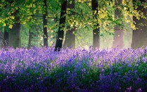 《花絮抖一抖》鄧倫最新花絮