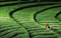 四川瀘山森林火災(zāi)后 西昌調(diào)派大巴轉(zhuǎn)運周邊居民