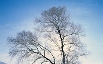 長(zhǎng)篇報(bào)告文學(xué)《縣委書記》出版：再現(xiàn)廖俊波大愛(ài)人生