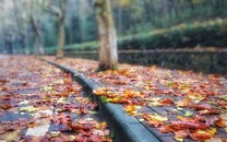 深足全員解除隔離 球員調(diào)侃：終于放出來了