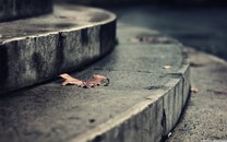 疫情戰(zhàn)爭(zhēng)下的經(jīng)濟(jì)運(yùn)行機(jī)制