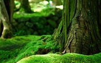 沈夢辰回國一臉幸福甜蜜