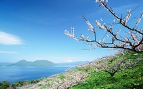 卡納瓦羅的44天，史上身份最曖昧的國家隊主教練