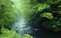 怕泄密，美軍不再公布各基地具體確診數(shù)字
