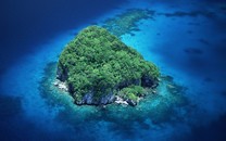 連續(xù)奮戰(zhàn)61天 民警吳涌倒在戰(zhàn)“疫”一線