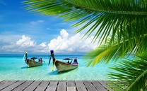 假如武磊給利物浦、巴塞羅那寫封自薦信