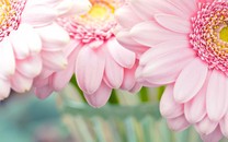 全球首個(gè)光子AI芯片原型問(wèn)世 比最先進(jìn)的電子芯片快了100倍