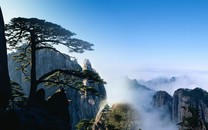 這可能是人類史上最大銀行搶劫案 就這樣泡湯了