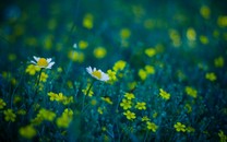 【圖說(shuō)中國(guó)經(jīng)濟(jì)】各地齊發(fā)力！疫情不減中國(guó)脫貧攻堅(jiān)信心