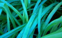 天津首批支援湖北醫(yī)療隊(duì)返津后隔離期滿正式解除隔離