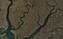 陳冠希為護(hù)隱私何錯(cuò)之有？